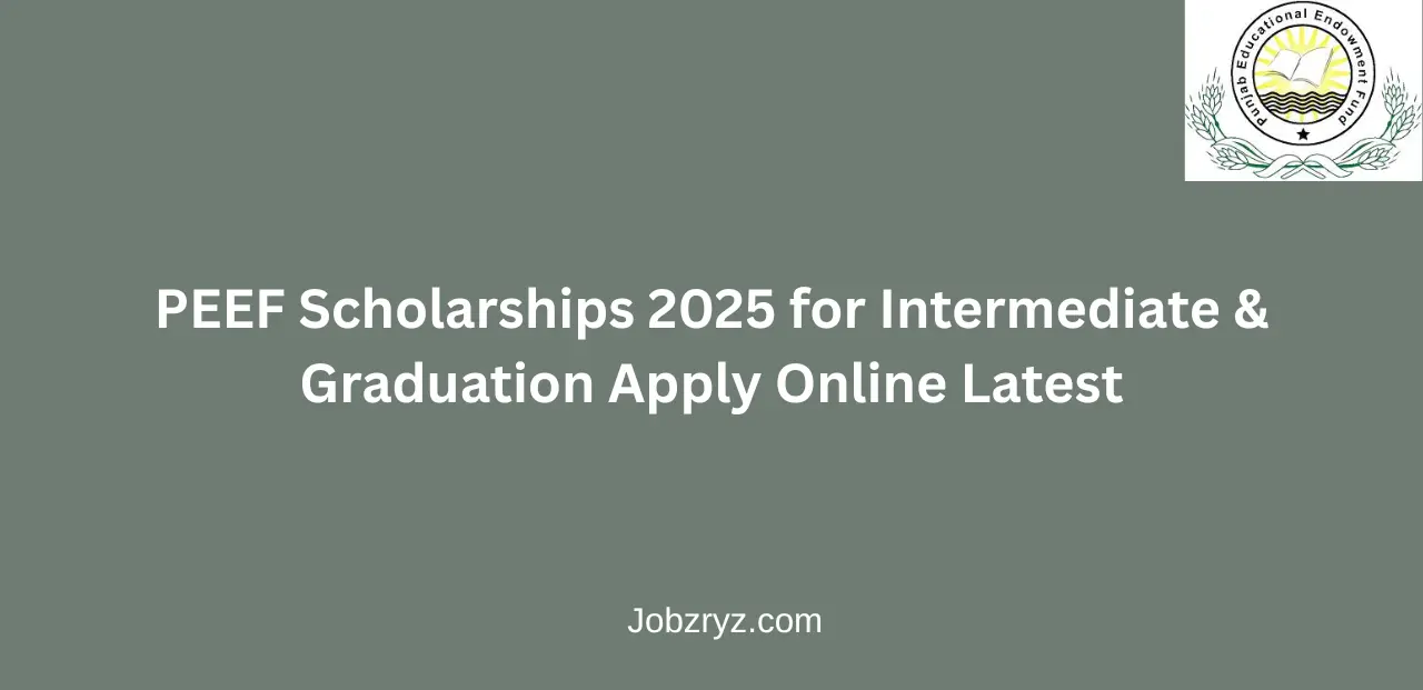 PEEF Scholarships 2025 for Intermediate & Graduation Apply Online Latest