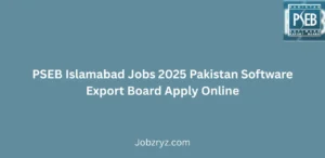 PSEB Islamabad Jobs 2025 Pakistan Software Export Board Apply Online